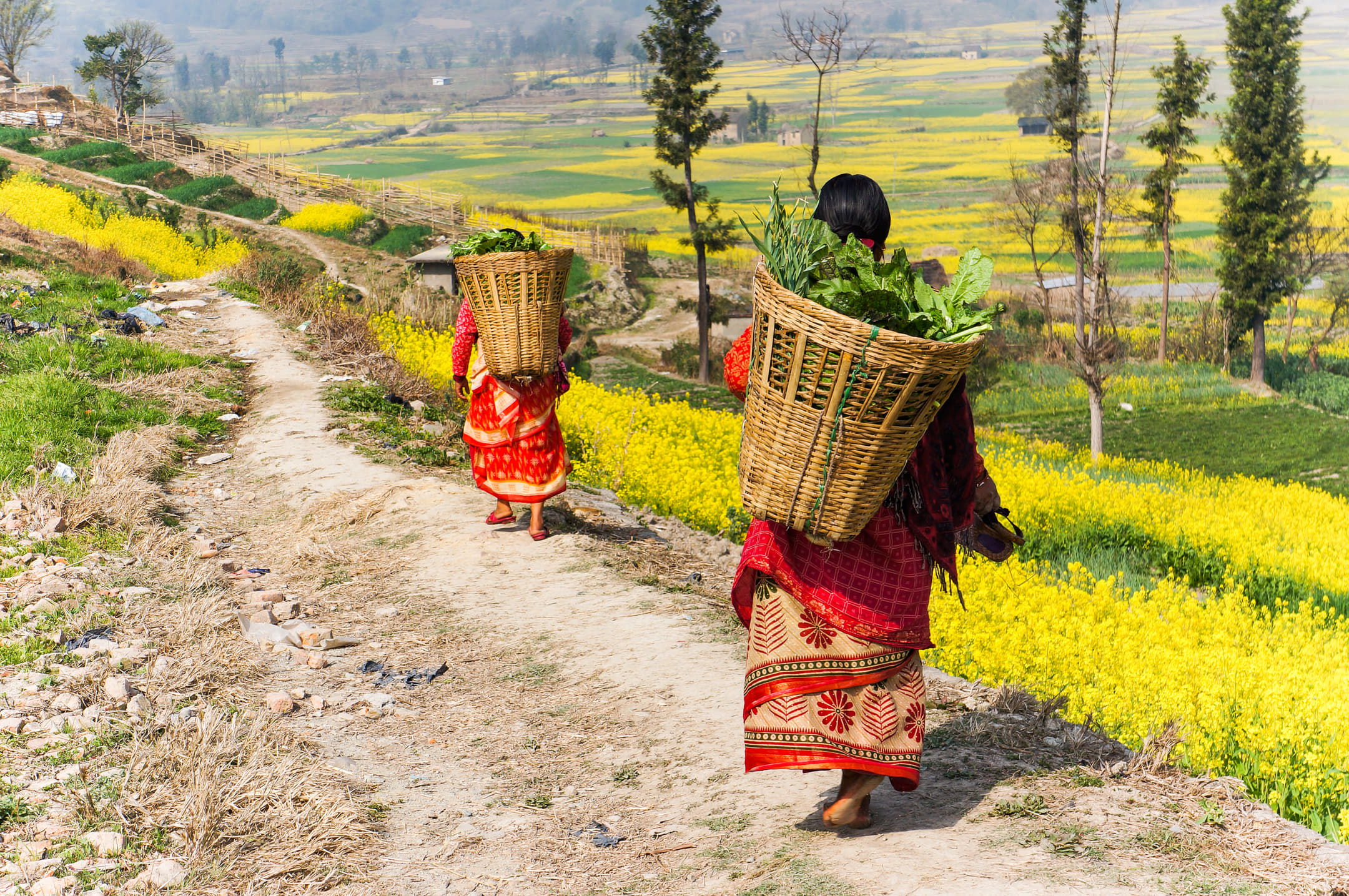 Nepal